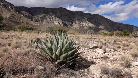 帕里在新墨西哥州南部的阿加维帕里视频的预览图