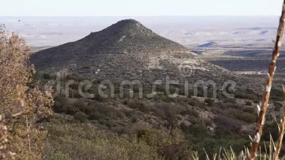 新墨西哥州圆锥山背景下山坡上的一组仙人掌和农瓜多汁植物视频的预览图