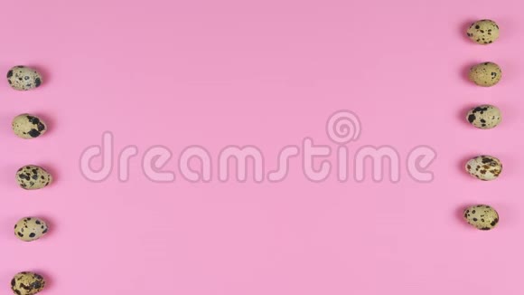 停止运动动画的鹌鹑蛋卷在粉红色背景平躺视频的预览图