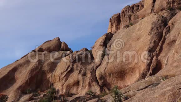 美国亚利桑那州赤壁山景观中的尤卡和卡蒂视频的预览图