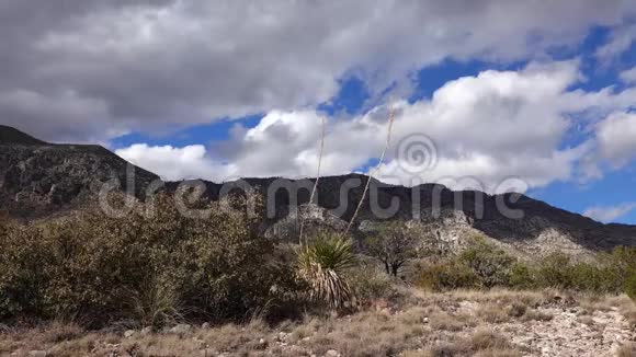 尤卡斯和仙人掌背景下的山脉与雷云新墨西哥州美国视频的预览图