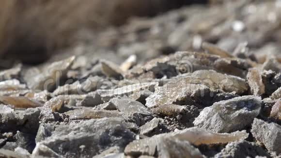 在靠近盐湖和白沙国家公园的亚利桑那州沙漠中粘土中的大量石膏晶体视频的预览图