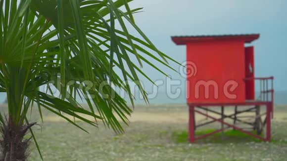 红色救生塔在海岸线上的前景是一棵棕榈树明亮的画面海上度假的概念视频的预览图