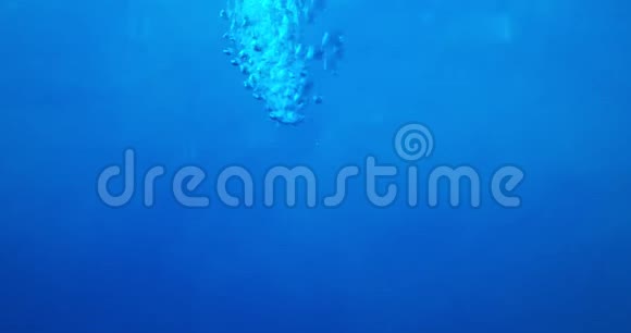 深水晶清澈的蓝色水气泡上升到表面视频的预览图
