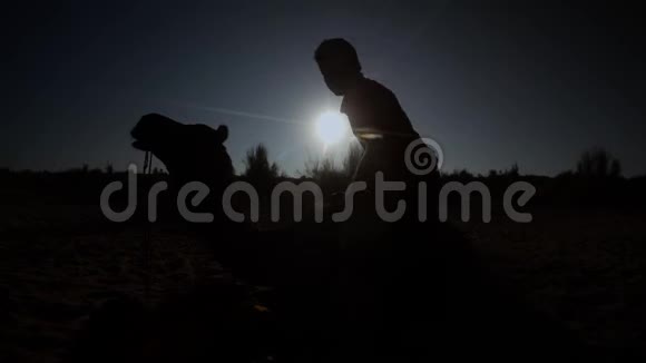 卡梅尔卡默尔在夕阳沙丘沙漠Thar的映衬下披着布的身影从骆驼的后面走了回来视频的预览图