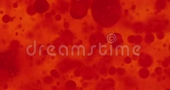 液中的小红细胞视频的预览图