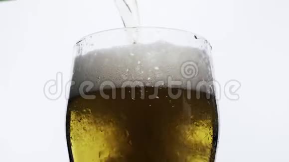 白色背景下的啤酒杯中冒出细泡一杯啤酒的特写镜头慢动作的泡沫视频的预览图
