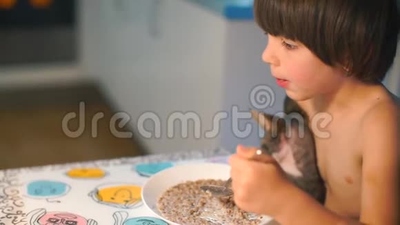 男孩抱着一只猫坐在桌子旁吃午饭视频的预览图