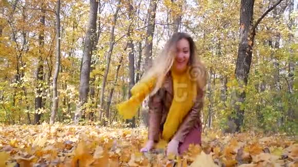 美丽的女人在森林或公园里爬上黄色的叶子和微笑视频的预览图