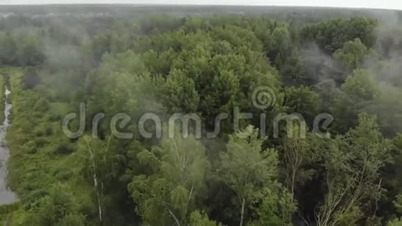 一片白雾像烟一样飘过一片茂密的绿色森林森林上空的雨视频的预览图