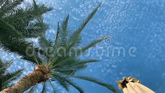 天空的景色与小云脱影快速移动棕榈树热带蓝色夏季天空超脱全高清视频的预览图