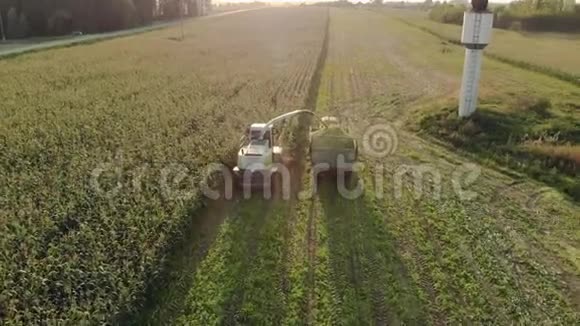 一台饲料收割机将玉米割成青贮饲料在阳光明媚的日子里给拖拉机拖车加油视频的预览图