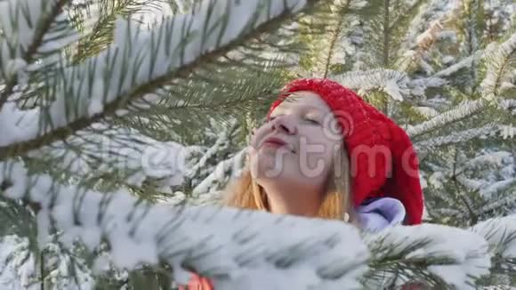 女孩嗅着松树的树枝吹着树枝上的雪视频的预览图
