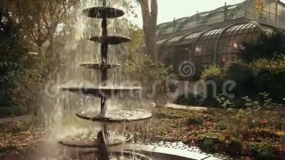 喷泉水滴流经欧洲美丽的植物园视频的预览图