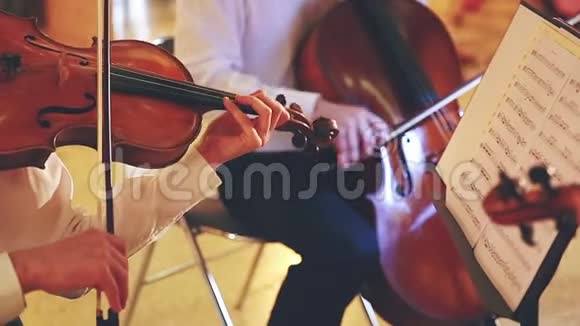 古典音乐家视频的预览图