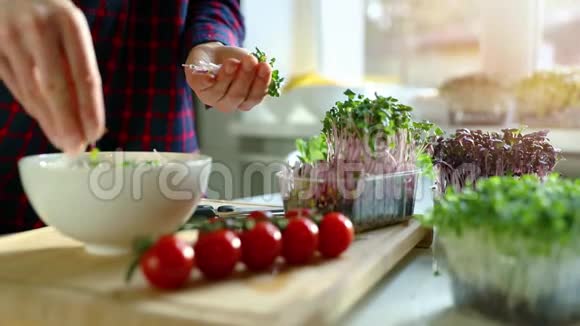 女人用微缩蔬菜准备新鲜的纯素沙拉视频的预览图