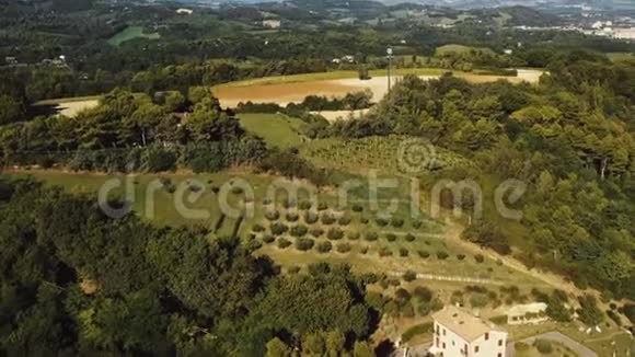 美丽的空中背景丘陵夏季地中海景观与树木山丘和田野附近的佩索罗意大利视频的预览图