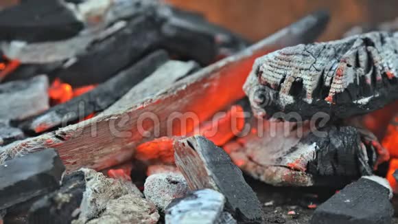 野餐烧烤用木炭燃烧视频的预览图