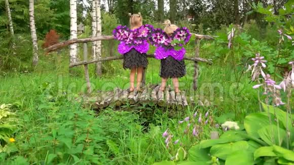 穿蝴蝶服装的女孩在桥上玩耍视频的预览图