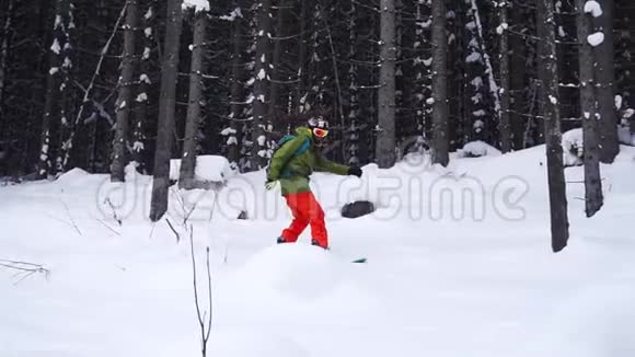 极限运动滑雪者在树木之间滑动视频的预览图