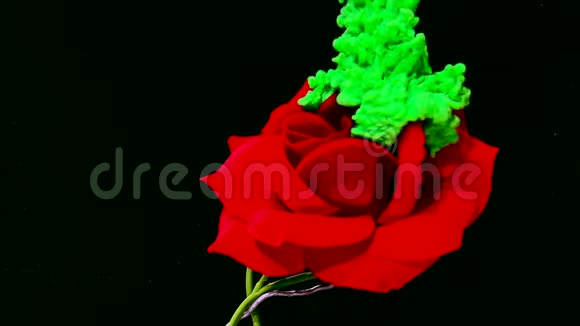 美丽的红玫瑰和绿色水彩墨水在水中的黑色背景视频的预览图