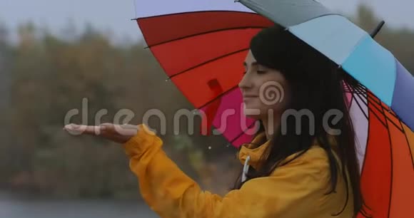 女人在伞下抓住雨滴视频的预览图