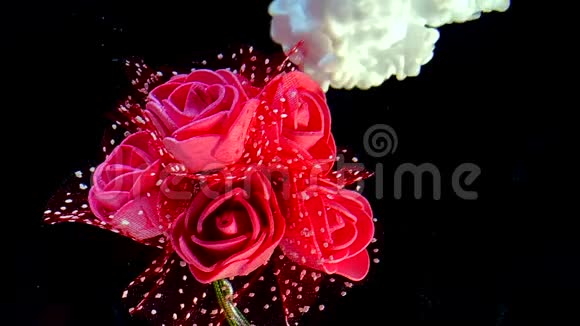 慢动作视频美丽的婚礼花束红色玫瑰和白色水彩墨水在水中的黑色背景视频的预览图