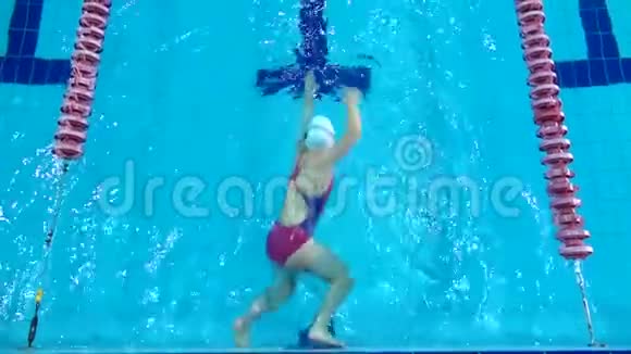 男游泳运动员开始在游泳池中游泳职业运动员训练潜水和溅水面顶级视频的预览图