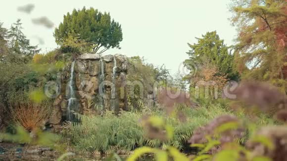 瀑布流动的植物园的壮丽景色视频的预览图