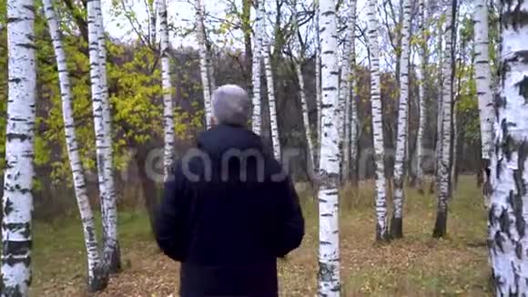 一个穿着蓝色夹克衫白发苍苍的瘦长男子走在秋天的森林里欣赏大自然视频的预览图