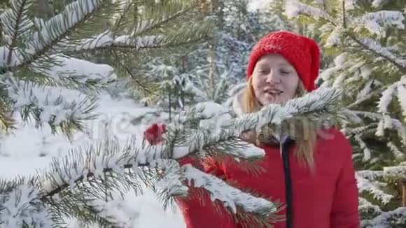 快乐的女人在圣诞森林里摇动着艳丽的树枝微笑的少年女孩在雪地里玩松树视频的预览图