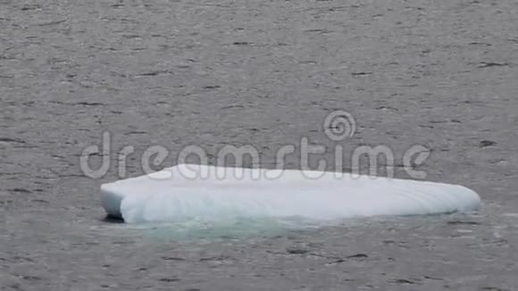 冰山漂浮在格陵兰岛的沿海岛屿斯库登根峡湾视频的预览图