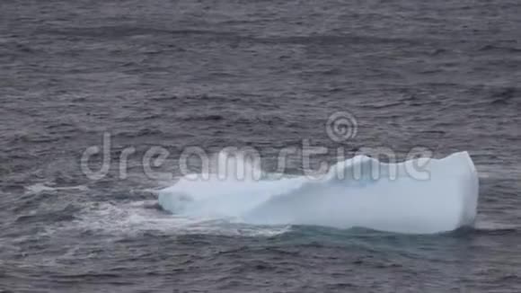 冰山漂浮在格陵兰岛的沿海岛屿斯库登根峡湾视频的预览图