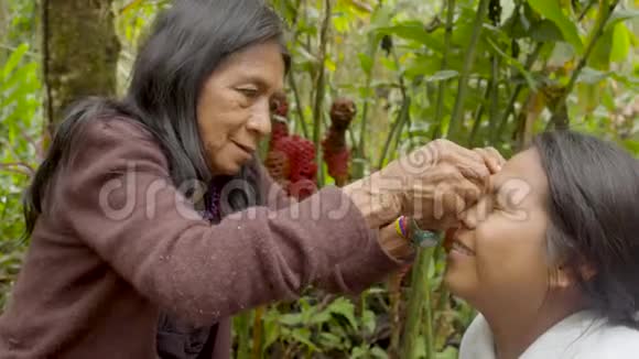 土著老年妇女向年轻土著妇女服用天然药物视频的预览图