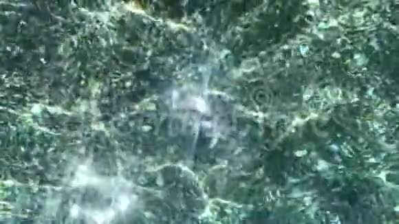 天然水波荡漾的焦鱼与阳光反射在海上缓慢的运动视频的预览图