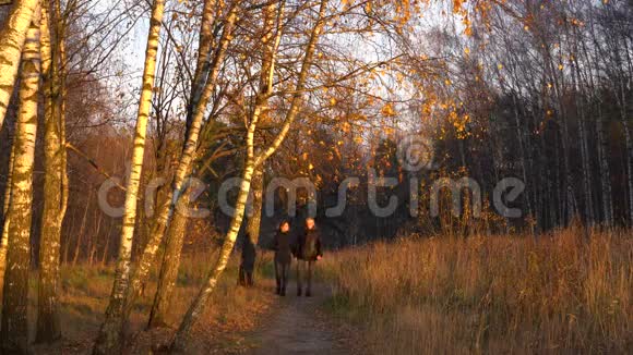 瘦削的男人和女人在秋天公园里的桦树间散步手牵着手互相交谈互相微笑视频的预览图