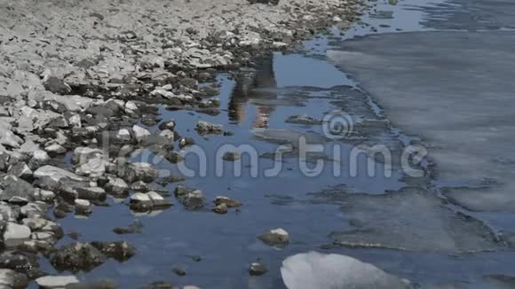 在水和冰的倒影中一对年轻着阳光明媚的春天视频的预览图