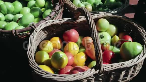 夏天农场里五颜六色的西红柿红色黄色橙色绿色的老式柳条篮子视频的预览图