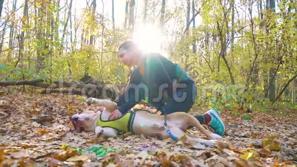 秋天的森林里安斯塔夫子趴在地上视频的预览图