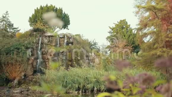 瀑布流动的植物园的壮丽景色视频的预览图