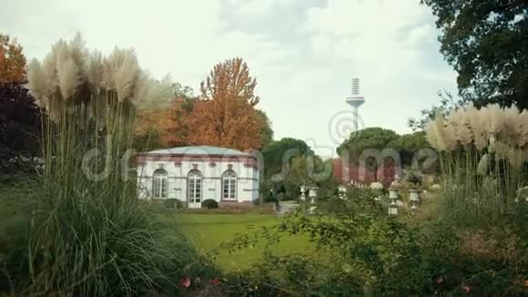 植物园的景色装饰的热带树木围绕着它的休息台视频的预览图