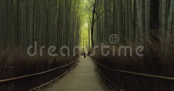 京都竹林倾斜起来视频的预览图