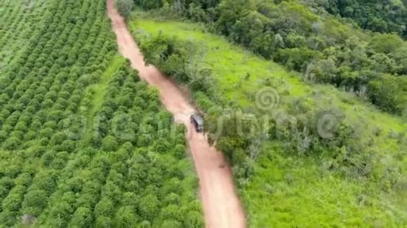 在绿色热带山谷中间的一条小土路上驾驶汽车的鸟瞰图视频的预览图