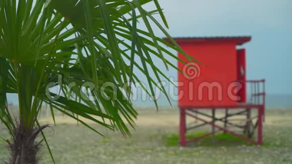 海岸线上一座红色救生塔背景上的棕榈树特写明亮的镜头度假的概念视频的预览图