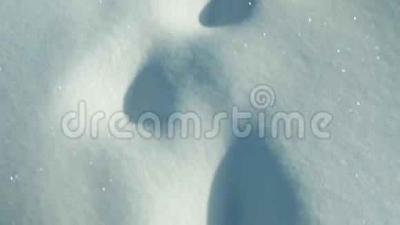 深雪中的脚步声视频的预览图