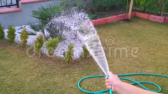女人用水管给植物浇水超慢动作每秒960帧视频的预览图