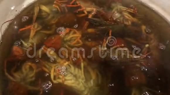 美味的海宴在一个绿色的大锅里煮小龙虾视频的预览图