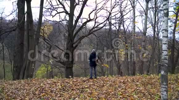 一位白发苍苍的瘦长男子站在秋天森林的峡谷边缘看着一棵高高的干橡树视频的预览图
