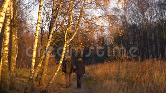 瘦削的男人和女人在秋天公园里的桦树中散步在日落时牵手欣赏大自然视频的预览图