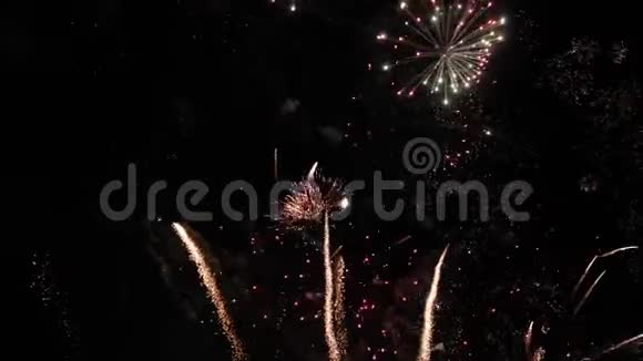 夜空中明亮的烟花城市假日视频的预览图